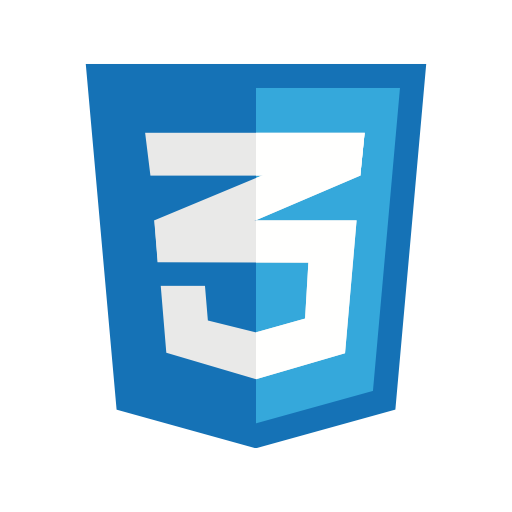 CSS CSS
